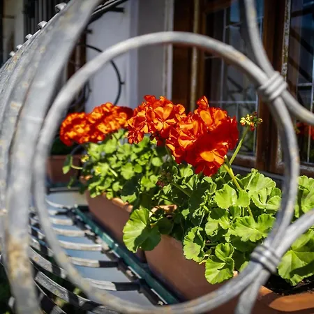 Apartment Sauvignon *