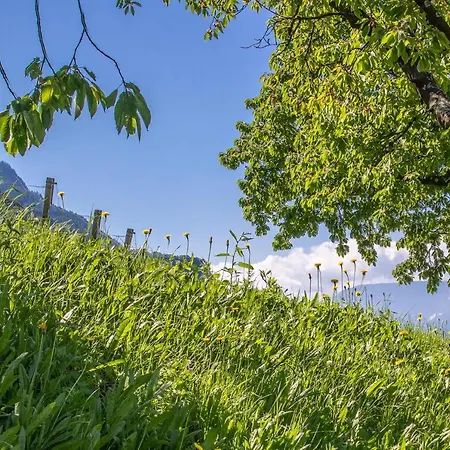 Sauvignon Apartment Merano