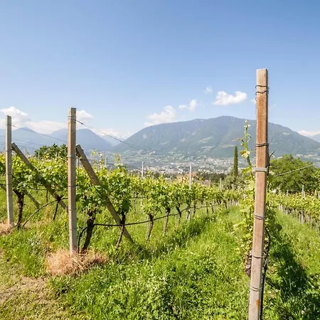 Sauvignon Meran