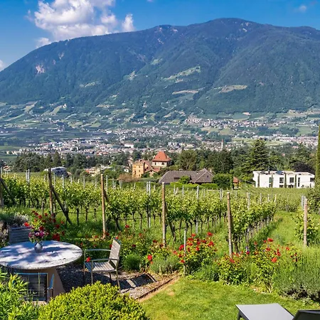 Sauvignon Merano