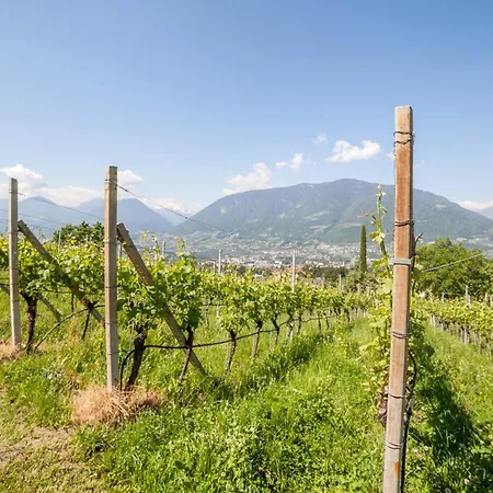 Sauvignon Merano