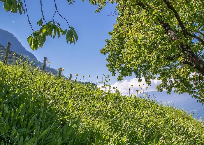 Sauvignon 公寓 梅拉诺